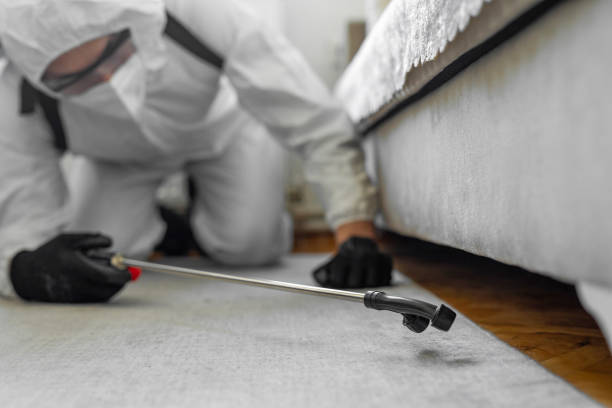 Professional Termite Control technician working in Black Creek, WI