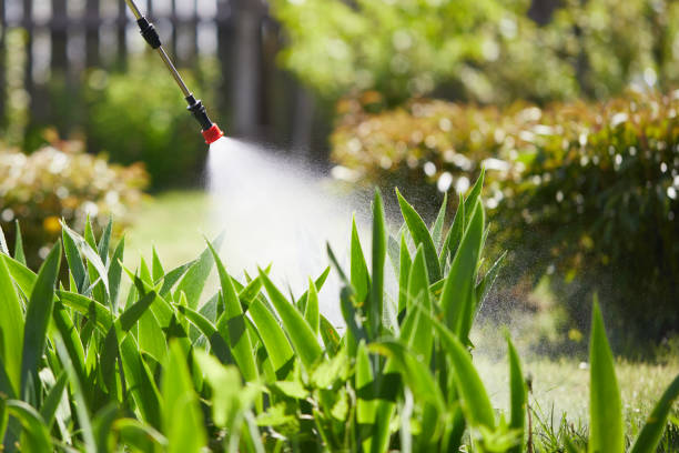 24/7 Emergency Termite Control experts in Black Creek, WI