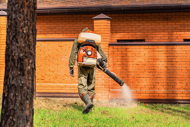 Trusted Fumigation Services service in Black Creek, WI - Nex Pest Control